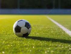 四大洲花滑,双人滑自由,滑赛事,开云体育,开云体育官网,开云体育app,开云体育app下载