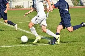 巴西新帅候,选仅剩,安切洛蒂入,开云体育,开云体育官网,开云体育app,开云体育app下载